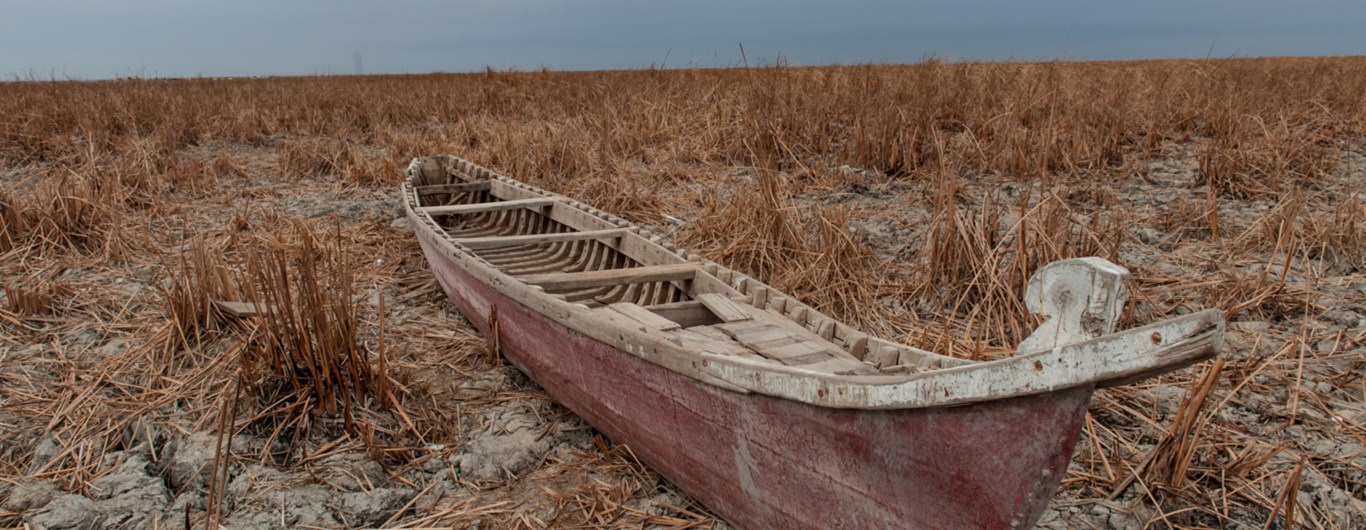 COP28 Los gobiernos deben eliminar progresivamente los combustibles