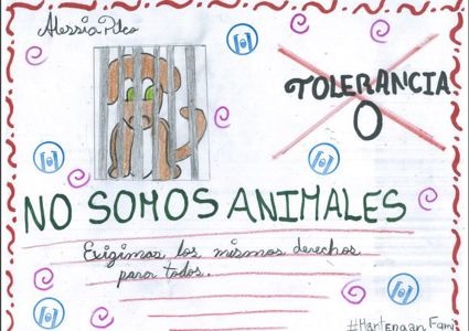 Noticia