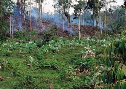 El Derecho Humano A Un Medio Ambiente Sano Una Obligacion Con Las Generaciones Futuras Amnistia Internacional Venezuela