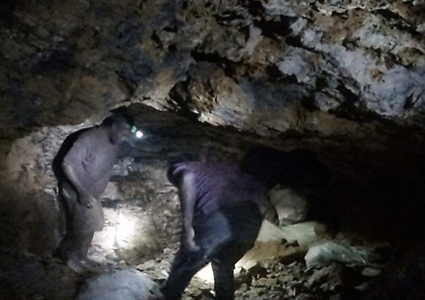 Noticia